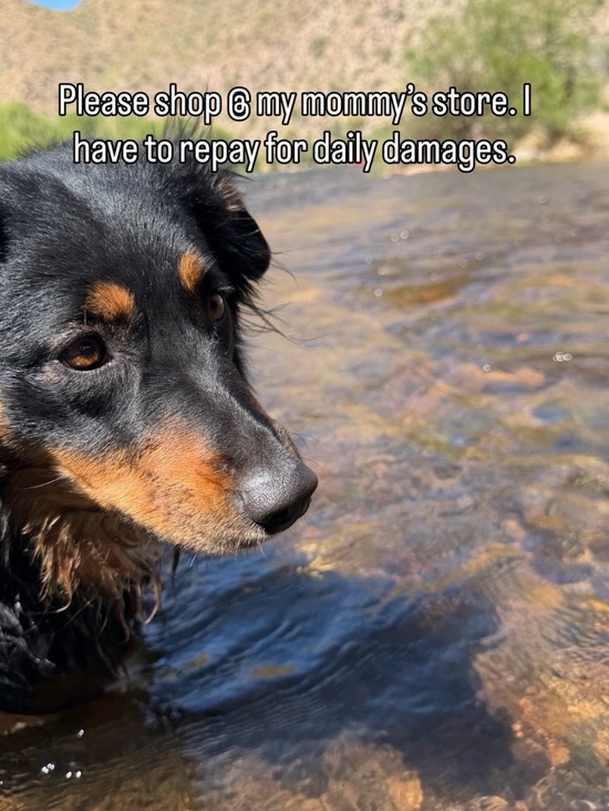 Framed Printed Red Tree  Canvas Painting Bedroom Home Art Wall Decor 40x20 OB - Picture 7 of 7